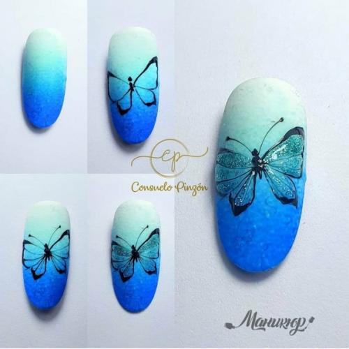 Топ пошаговых уроков рисунка Бабочка. 06