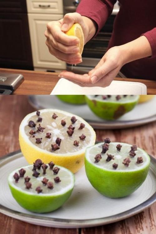 15 доказательств, что лимон - самая полезная вещь в хозяйстве? 07 15 доказательств, что лимон - самая полезная вещь в хозяйстве? 07