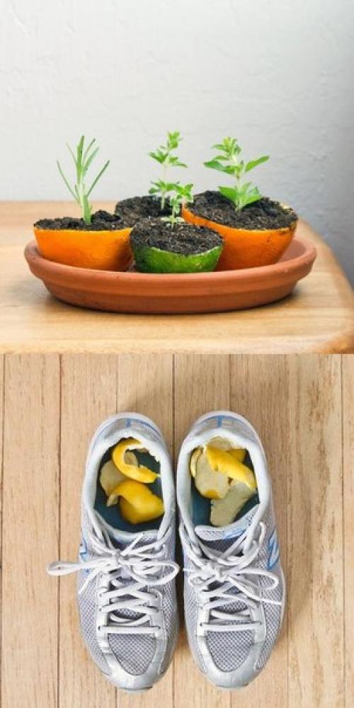 15 доказательств, что лимон - самая полезная вещь в хозяйстве? 05 15 доказательств, что лимон - самая полезная вещь в хозяйстве? 05