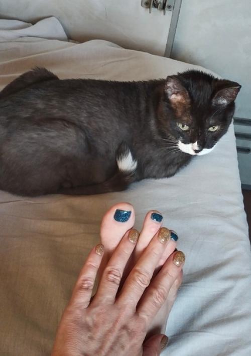 Вот, любуюсь своим новым педикюром - маникюром. 01