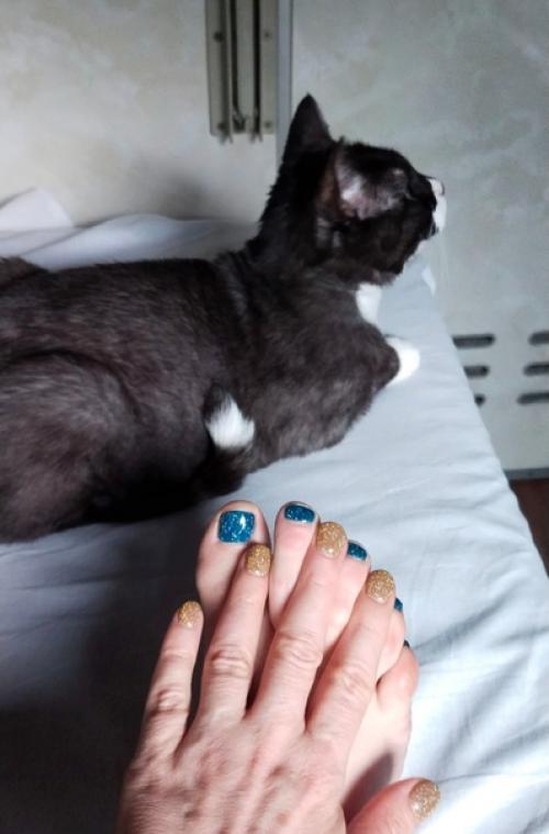 Вот, любуюсь своим новым педикюром - маникюром. 02