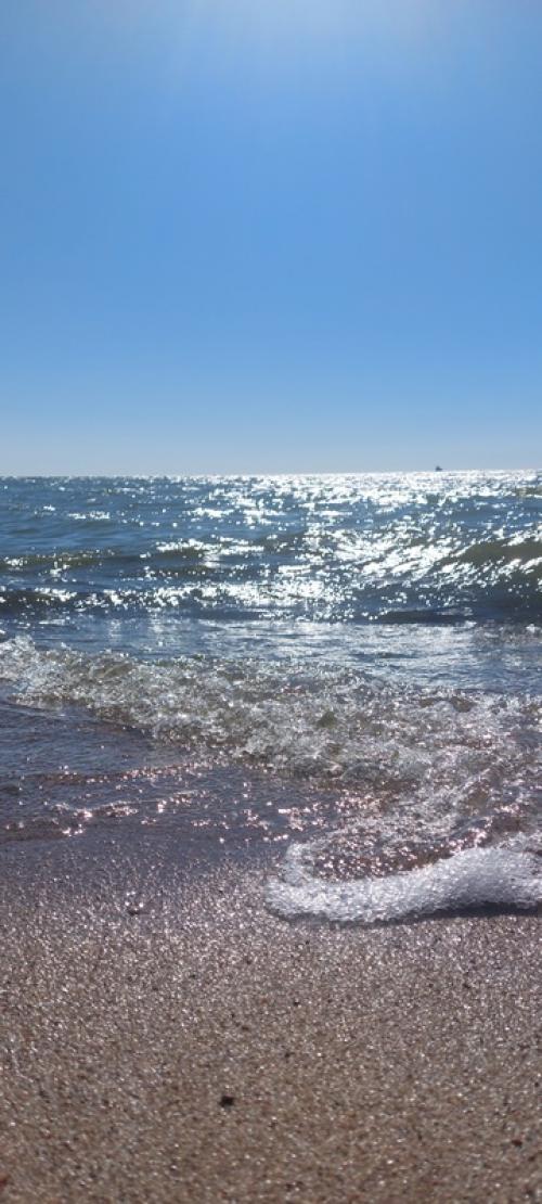 Дорогая любушка!  Мы просто радуемся каждый день красотой, которую вы нам подарили. 01