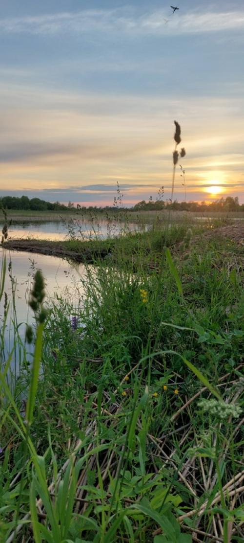 Дорогая любушка!  Мы просто радуемся каждый день красотой, которую вы нам подарили. 05