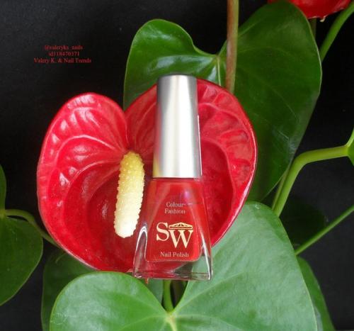 Напишу - ка я отзыв на этот на мой любимый красный SW Everyday номер 102. 01