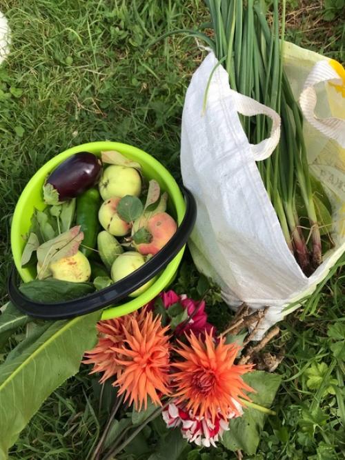 Деревенщина.  А я счастлива знать, что такое деревенская жизнь! 02