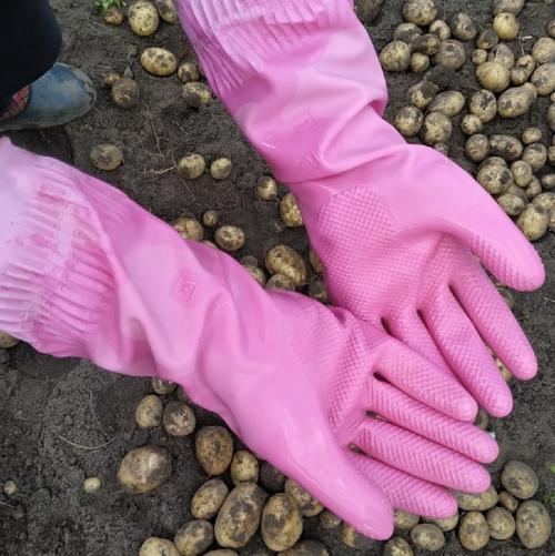 Осень - пора уборки урожая. 02