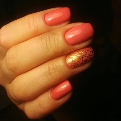 Здравствуйте, милые девушки! 04 Здравствуйте, милые девушки! 04