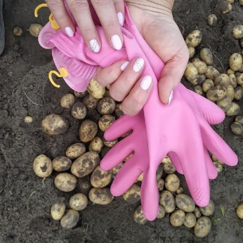 Осень - пора уборки урожая. 03