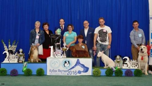 Правила обсуждения выставок. 01 Правила обсуждения выставок. 01