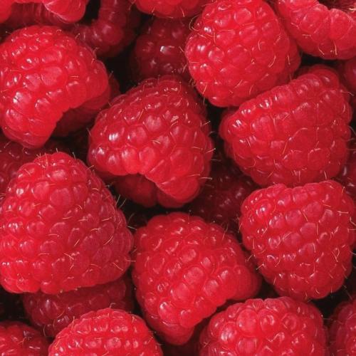 Меня зовут. Красный. 02