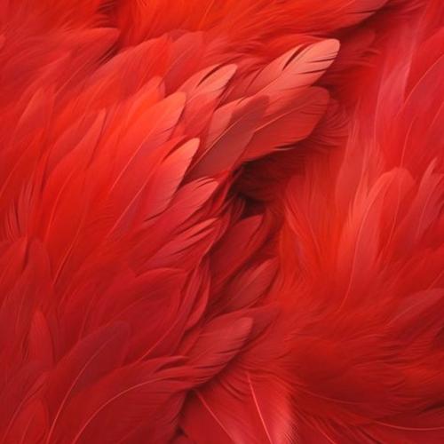 Меня зовут. Красный. 03