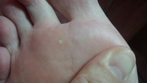 Админ.  Пропусти пожалуйста. 02