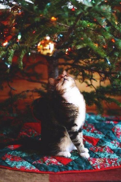 Как стать милой? 01