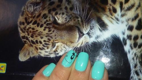 Срочно!  Ищу моделей на сегодня, завтра и после завтра! 01