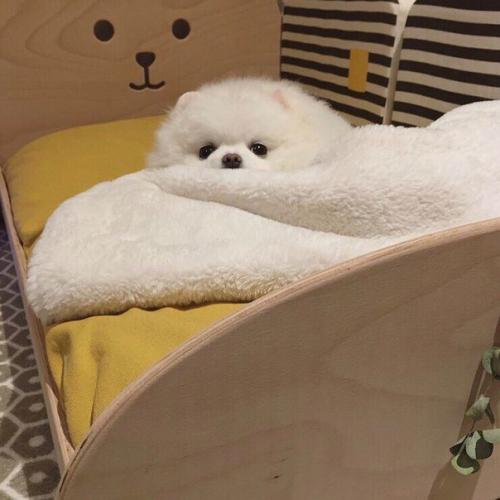 Как быть красивой и ухоженной? 03 Как быть красивой и ухоженной? 03