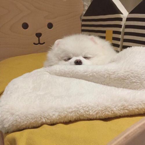 Как быть красивой и ухоженной? 01 Как быть красивой и ухоженной? 01