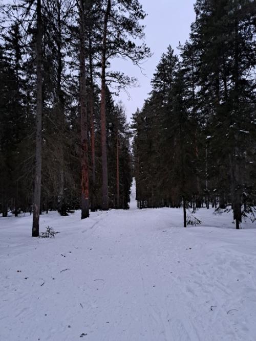 Кажется, у нас с Денисом есть талант - проводить любые выходные интересно по - полной. 05