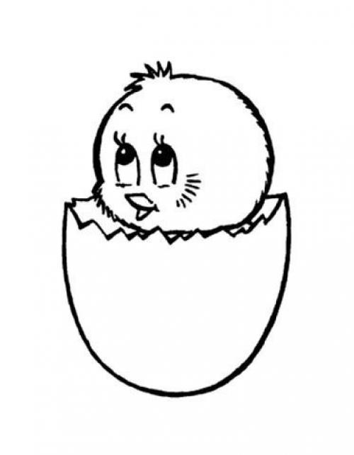 Прошу помочь с дизайном) клиентка просит цыпленка в скорлупе. 01