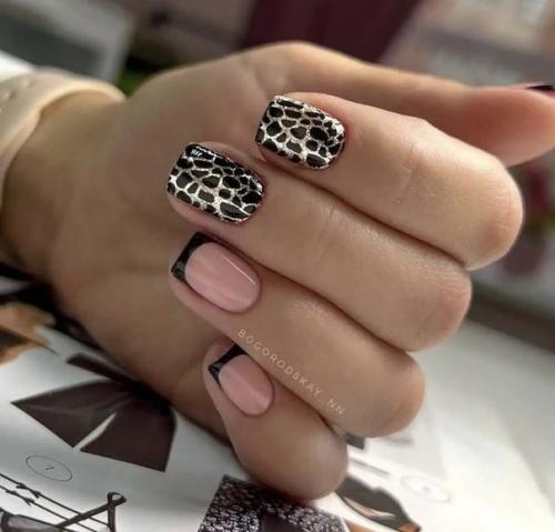 Френч к торжественному случаю. 06