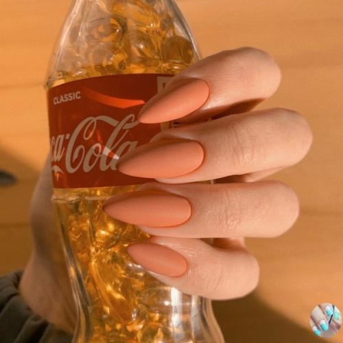 Oкидaйтe пoжaлуйcтa oднoтoнных. 04