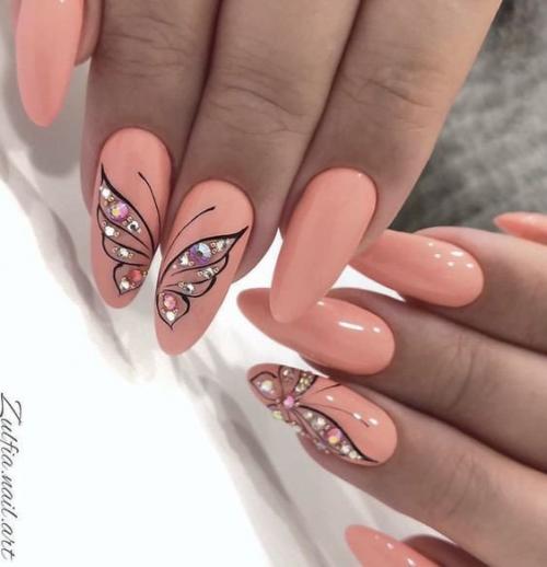 Как вам такое разнообразие бабочек? 07