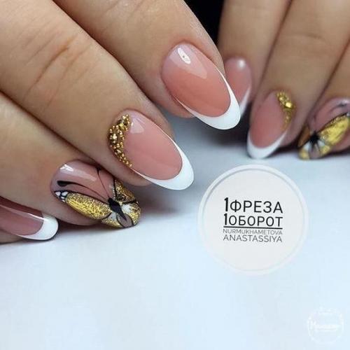 Как вам такое разнообразие бабочек? 01