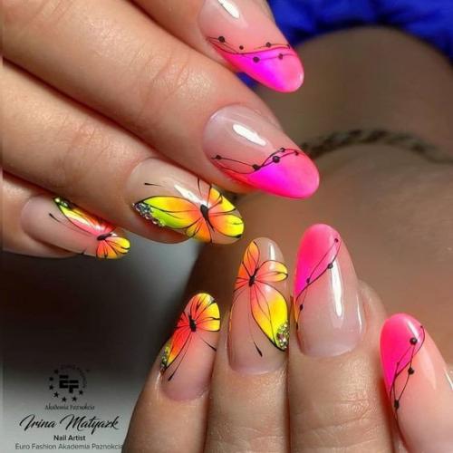 Как вам такое разнообразие бабочек? 03