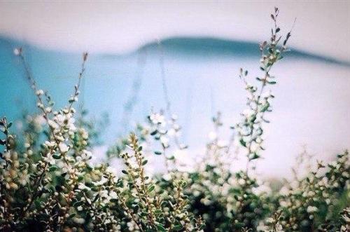 ? 10. Дней до выпускного? 03 ? 10. Дней до выпускного? 03