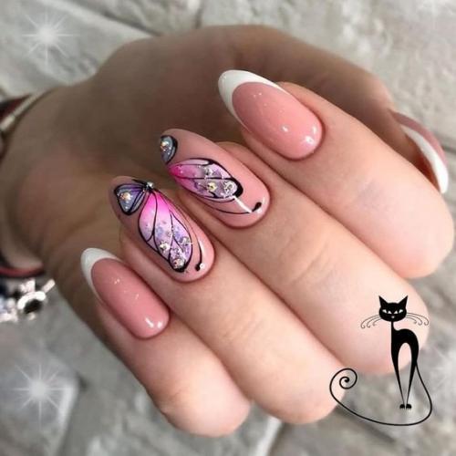 Как вам такое разнообразие бабочек? 08