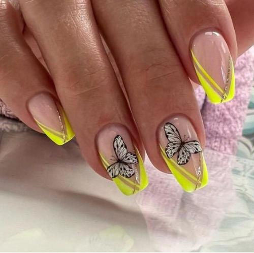 Как вам такое разнообразие бабочек? 06