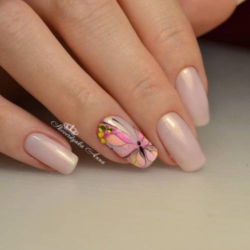 Как вам такое разнообразие бабочек? 09