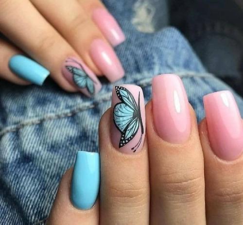 Как вам такое разнообразие бабочек? 02