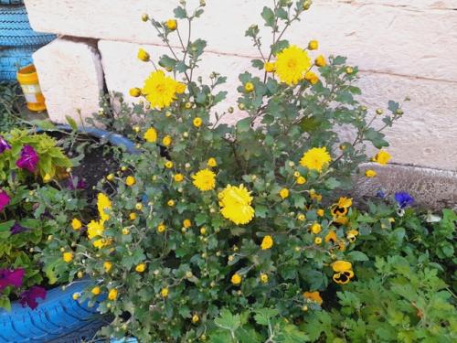 Этим летом я научилась шить вещи из Муслима и сшила легкий, летний костюм для дочки. 01