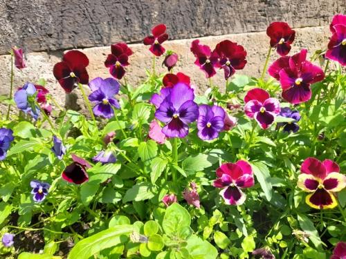 Этим летом я научилась шить вещи из Муслима и сшила легкий, летний костюм для дочки. 03