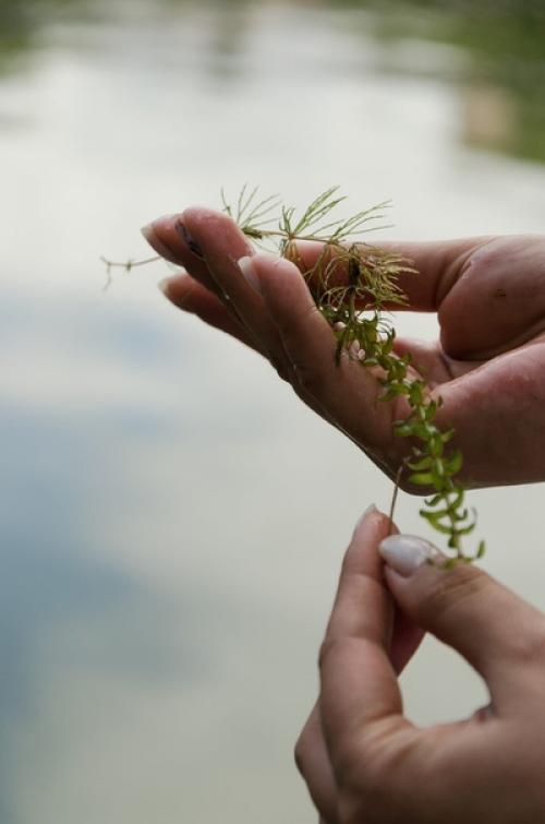 Живая съёмка в естественных условиях руками психолога. 05