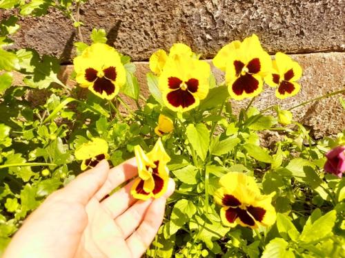 Этим летом я научилась шить вещи из Муслима и сшила легкий, летний костюм для дочки. 02