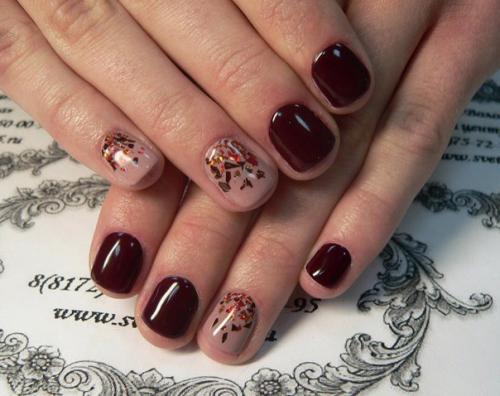 Добрый день?  2 недели назад прошла обучение. 01