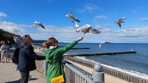 36-37/52.  И снова в студии с двухнедельным отчётом. 05