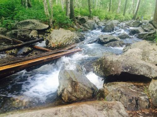 Goyobasagan Fresh.  Easy. 01