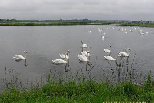 Записки_милитари_вумен. 02