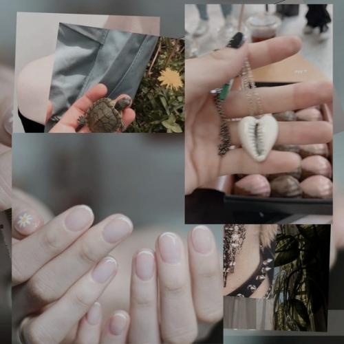 - в последнее время мне очень нравятся змеи. 04