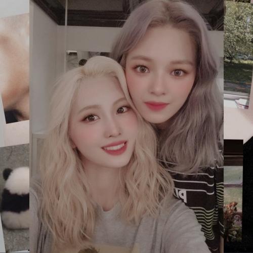 - в последнее время мне очень нравятся змеи. 03