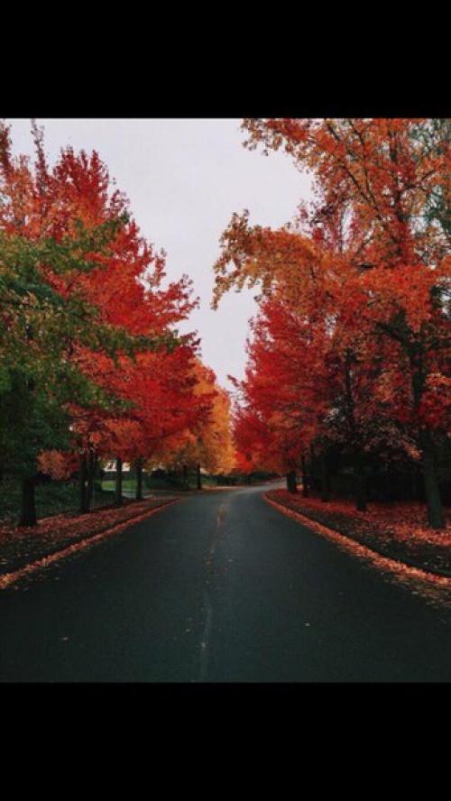 Фотоплан на ноябрь? 1 ноября - сделать фото на лестнице. 01 Фотоплан на ноябрь? 1 ноября - сделать фото на лестнице. 01