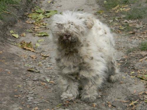 Сегодня счастливый день, не смотря на погоду! 02