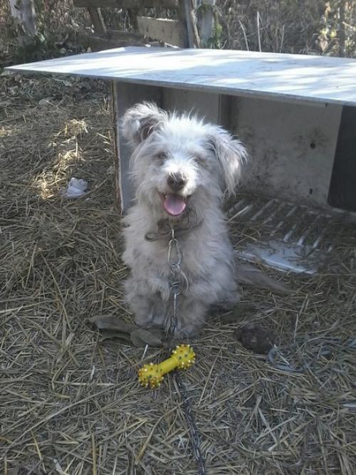 Сегодня счастливый день, не смотря на погоду! 01