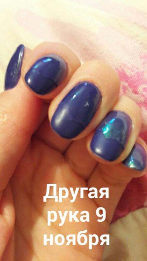 Добрый день, ревизорро! 01 Добрый день, ревизорро! 01