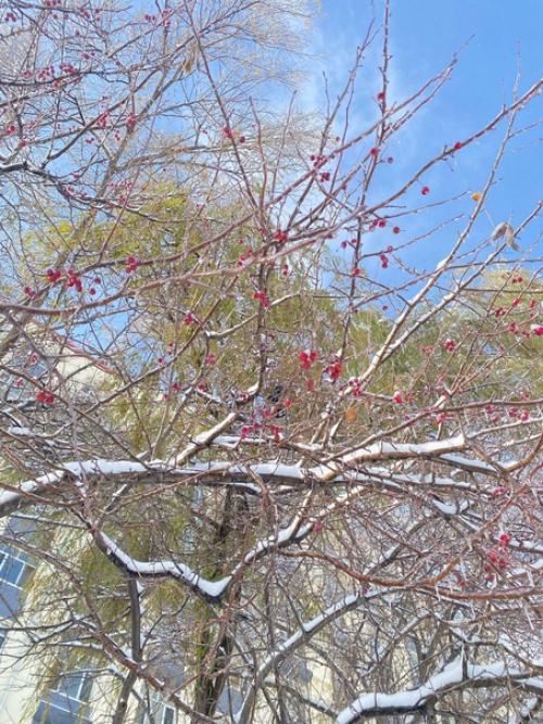 3 месяц в Китае или отчаянные метания в желании возвращаться или немного задержаться. 05 3 месяц в Китае или отчаянные метания в желании возвращаться или немного задержаться. 05