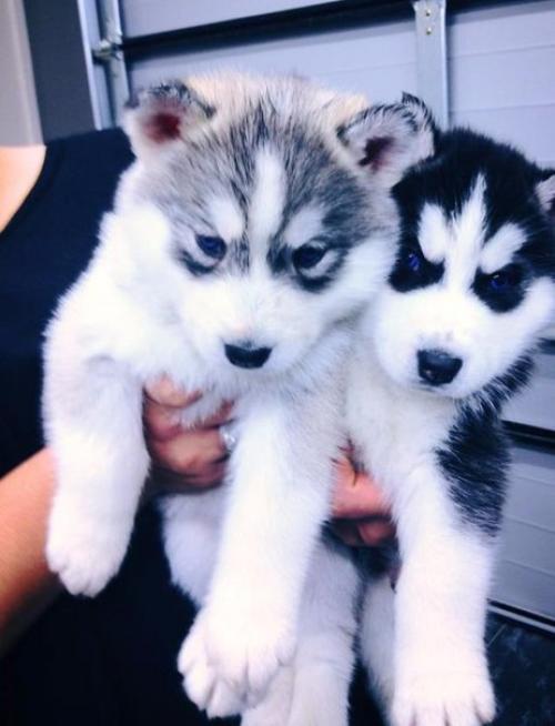 War_of_Hearts_Mistress_Alien. 03 War_of_Hearts_Mistress_Alien. 03