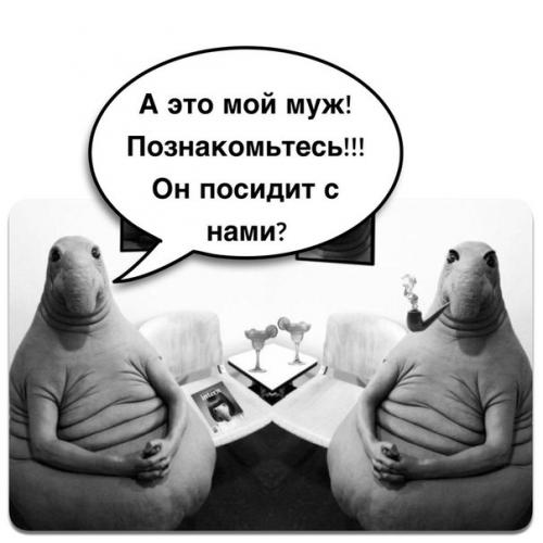 Решил выложить свои варианты Ждуна. 08 Решил выложить свои варианты Ждуна. 08