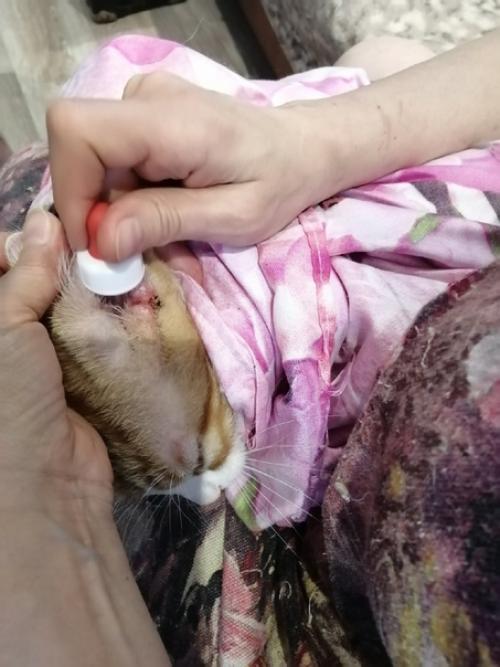 Продолжение.   Ещё один увлекательнейший квест нашей гоп-компании называется попробуй, сунься! 02 Продолжение.   Ещё один увлекательнейший квест нашей гоп-компании называется попробуй, сунься! 02
